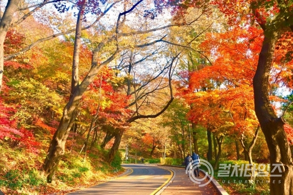 ▲ 가을 산의 단풍과 낙엽의 모습 (출처/ 핀터레스트)