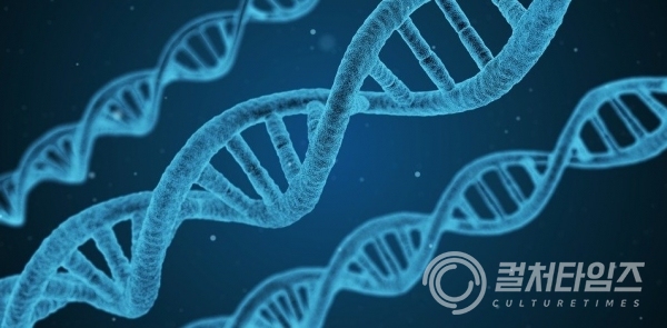 생명체의 설계도라 불리는 DNA 사진(출처/픽사)