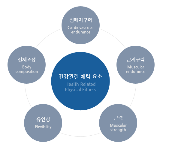 건강관련 체력 요소 ( 출처 / 삼성서울병원 스포츠의학팀 )