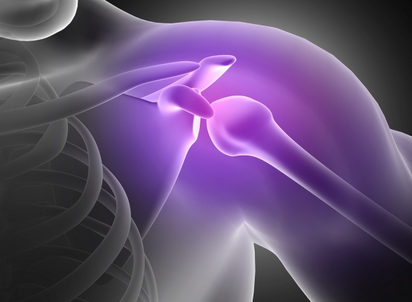 어깨 관절의 통증과 골격구조 ( 출처 / 프리픽 )